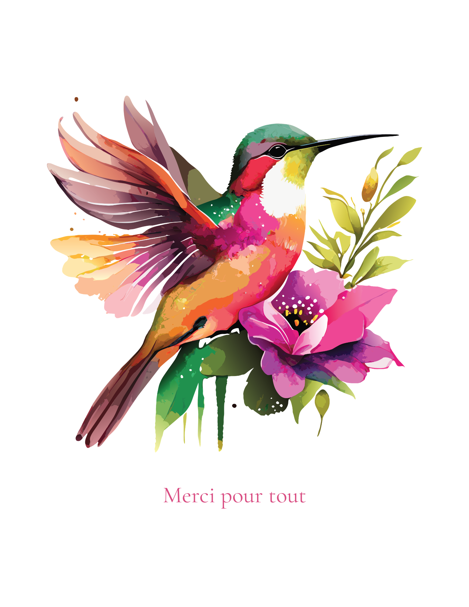 Carte remerciement- colibri